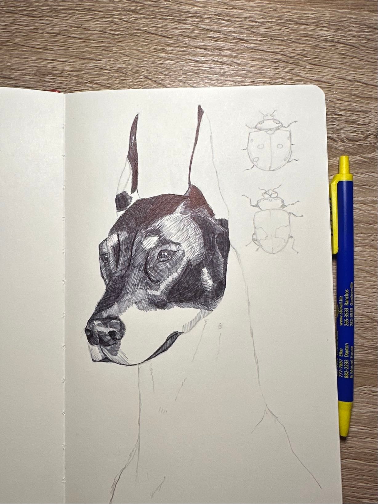 dog pen sketch