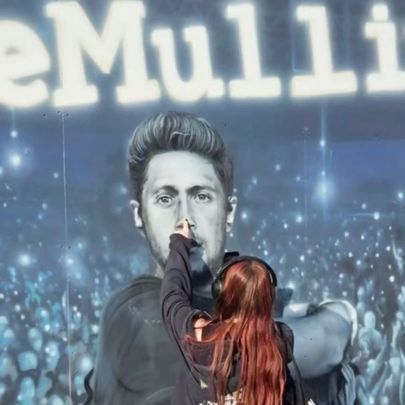 Mullingar - NIALLERS HOMEEE. we love our little niall. I want to do so much and just go to Ireland tbh๐ฎ๐ช