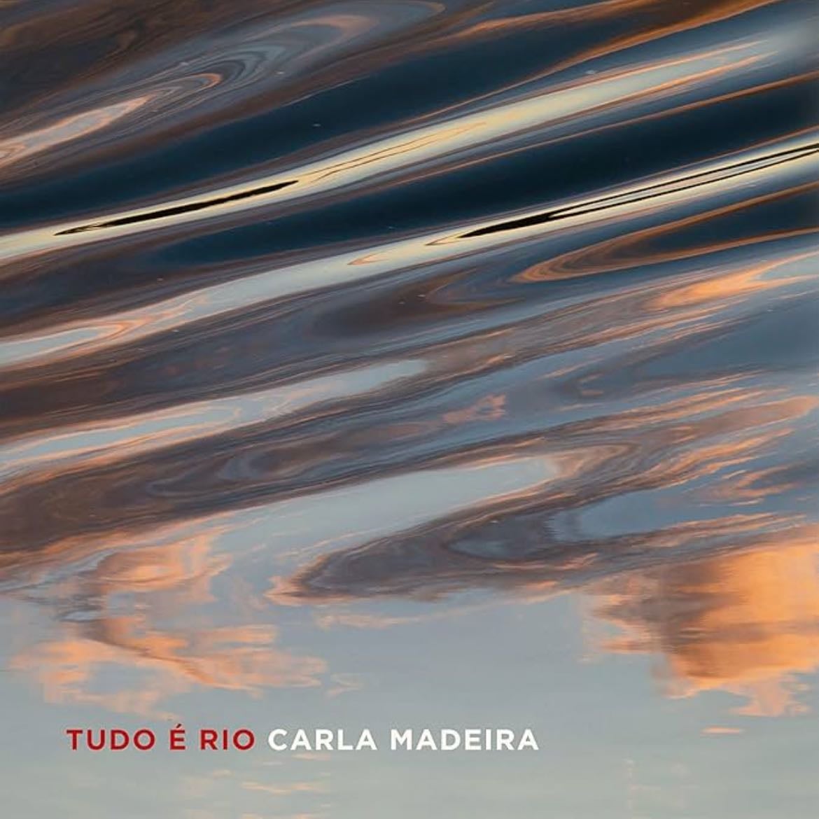 Tudo é Rio - Carla Madeira · 2023