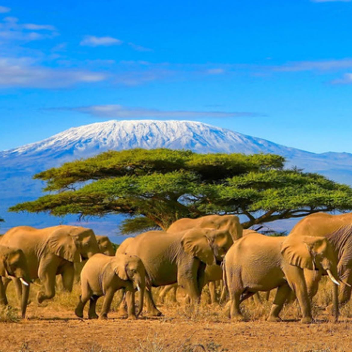 Tanzania