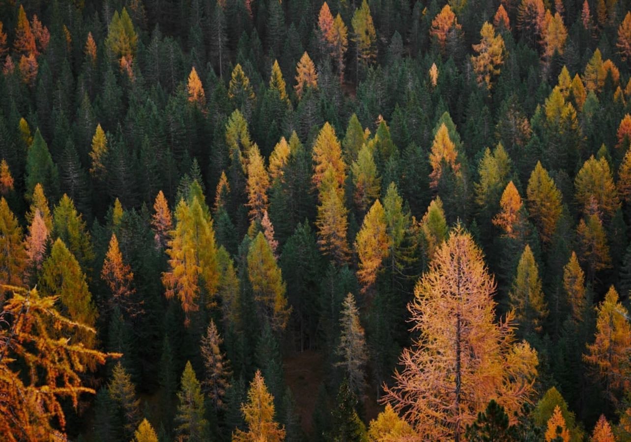 cozy n comfort movies in autumn