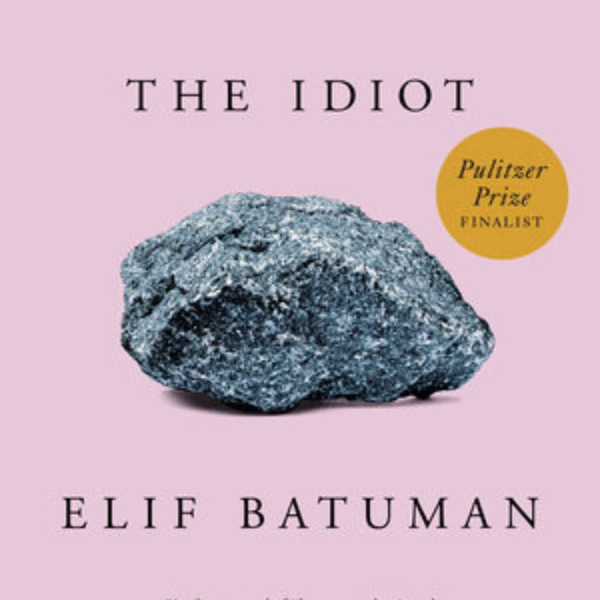 The idiot - Elif Batuman