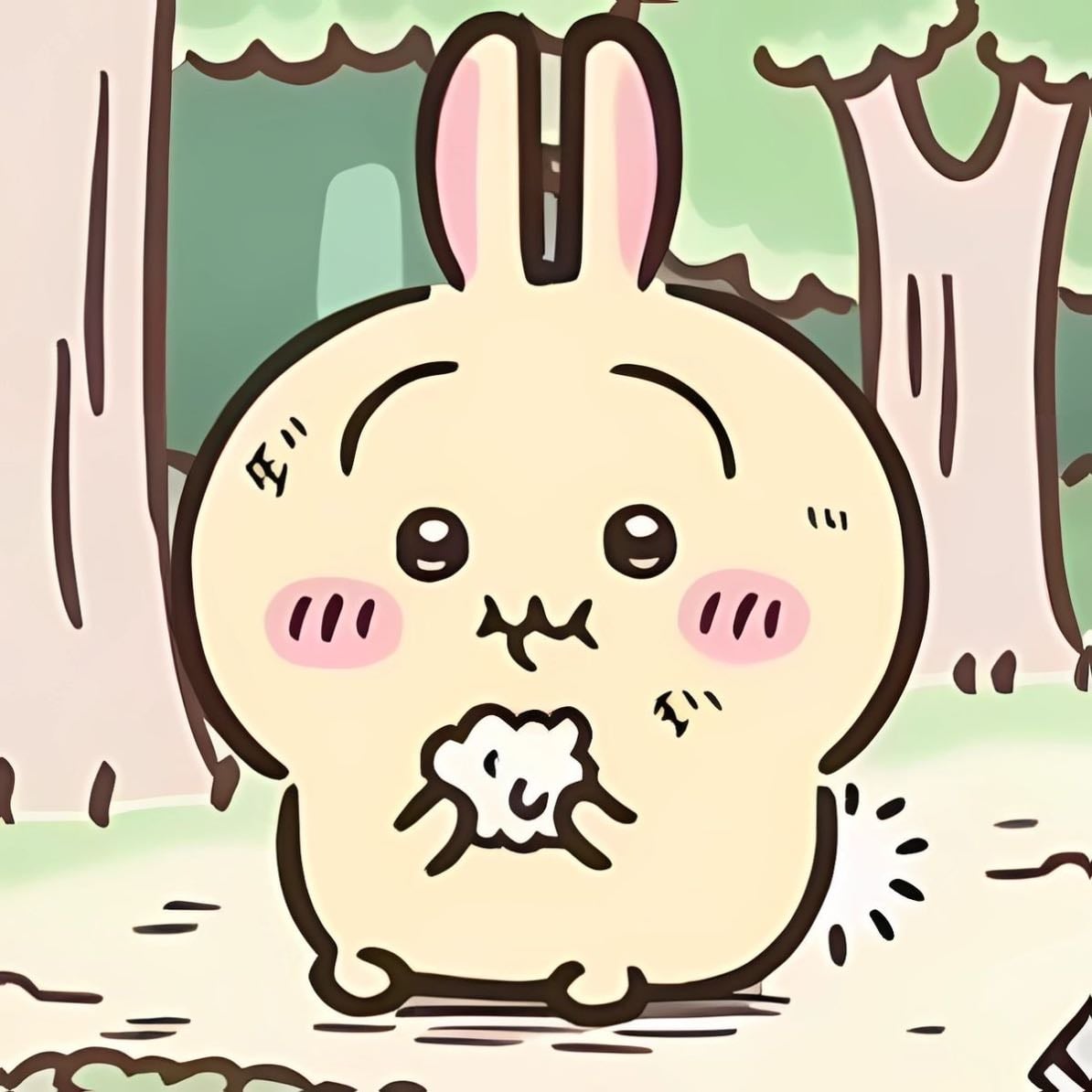 Usagi - Chiikawa