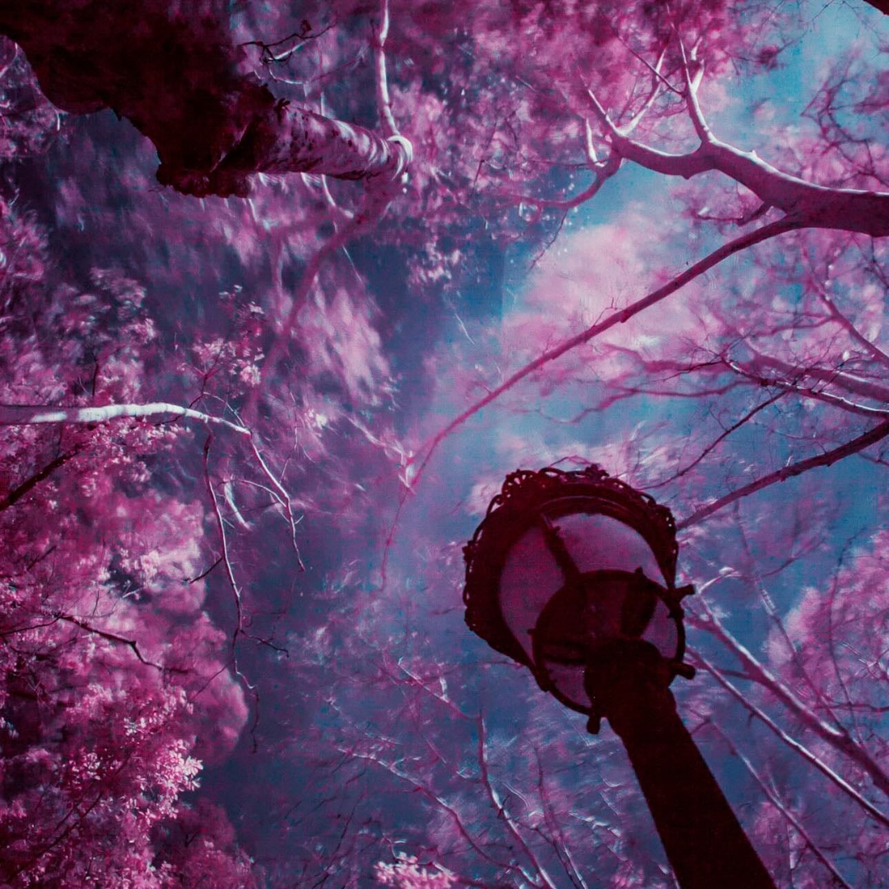 Sapphic fantasy and fiction