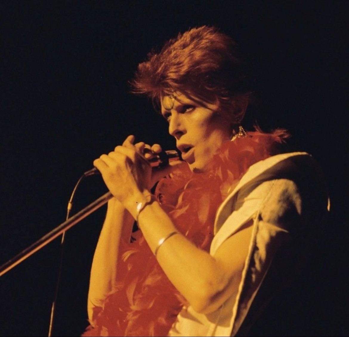 david bowie