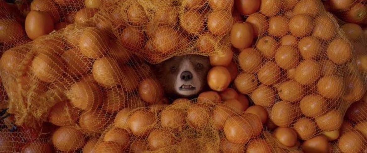 paddington 2 2017
