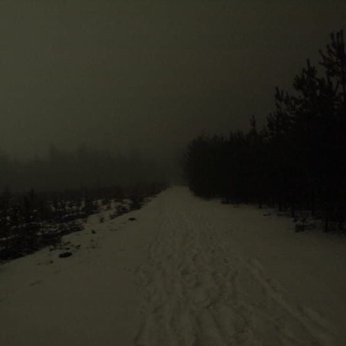 winter - season
