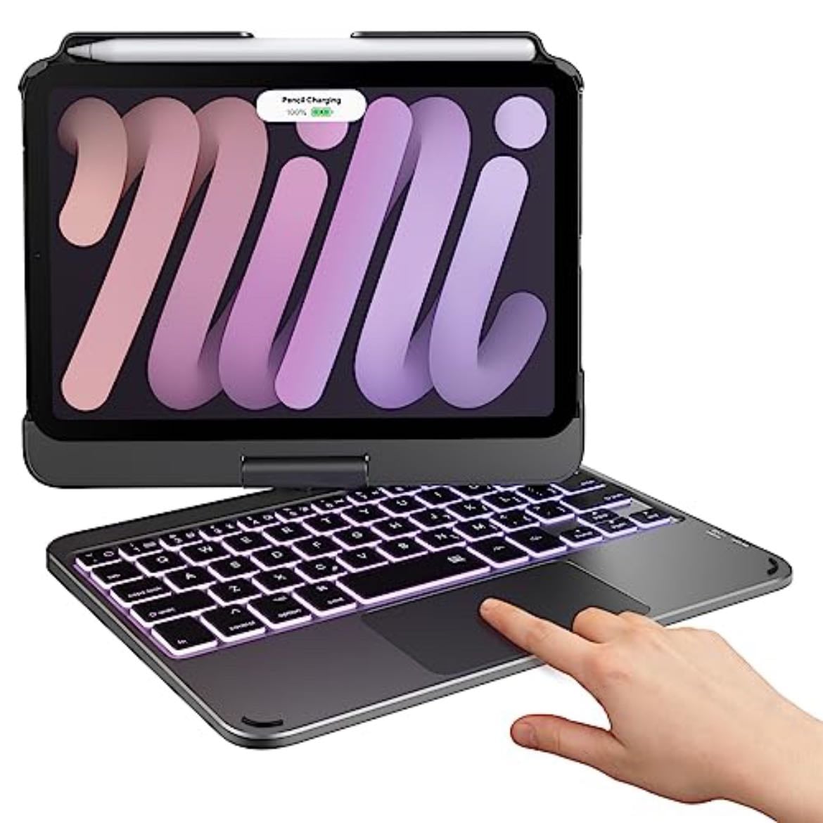 iPad Case
