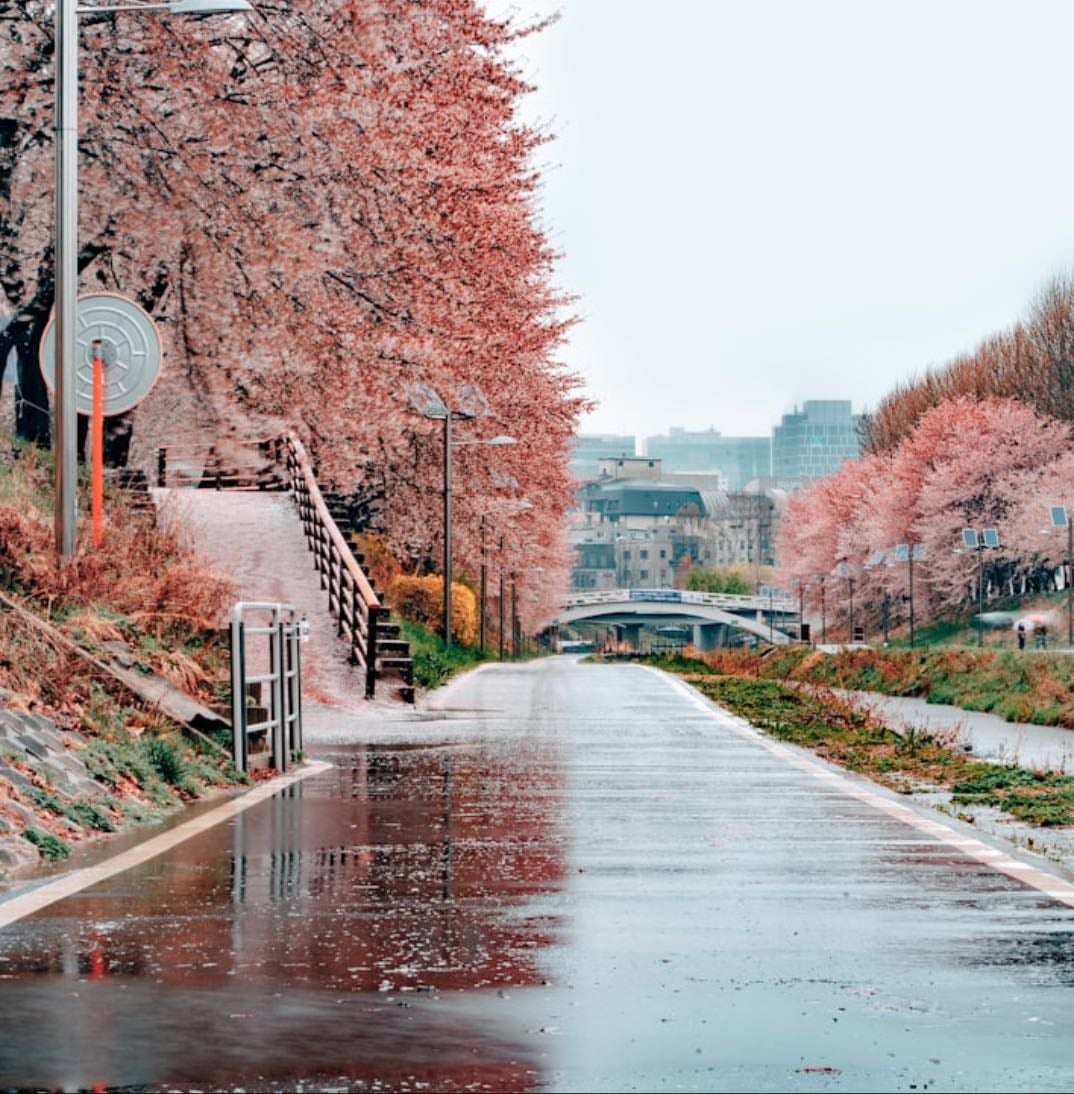 Korea