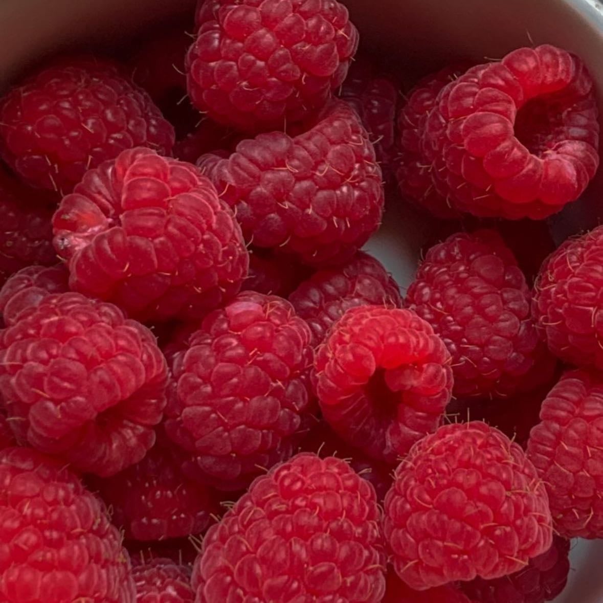 Raspberries