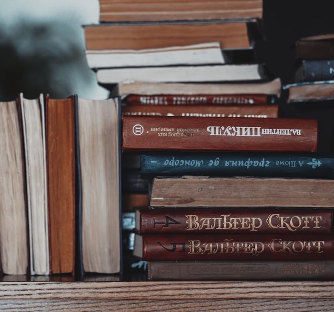 reading list 📚 - Books hypelist by Stephanie D