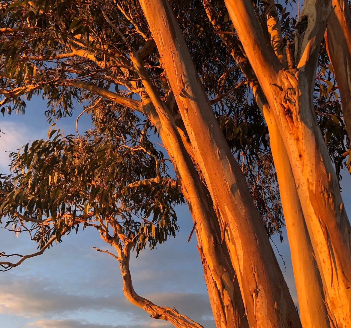 land down under - Places hypelist by alison
