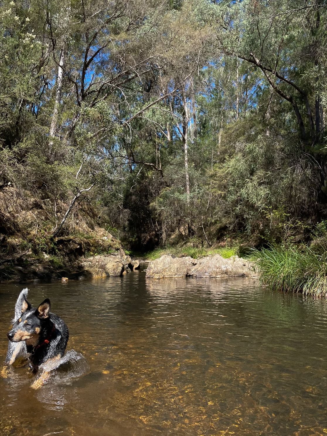 secret spot - not actually secret