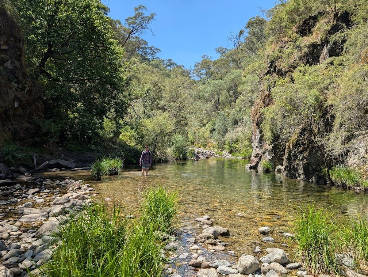 Mount Beauty Gorge Walk