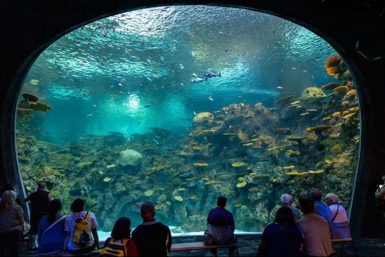 Aquarium