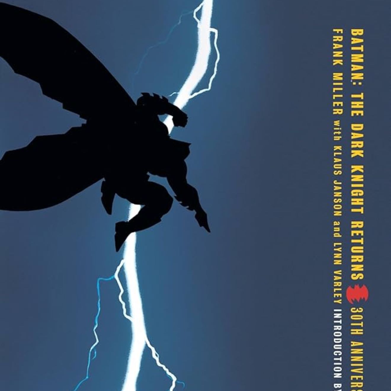 Batman the dark knight
