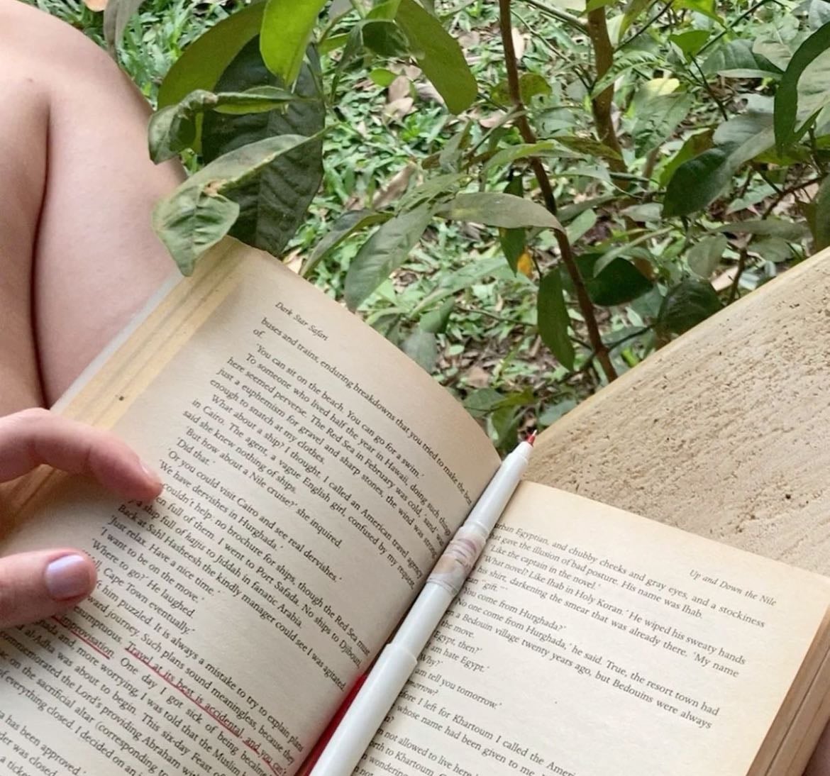 books to read this summer
