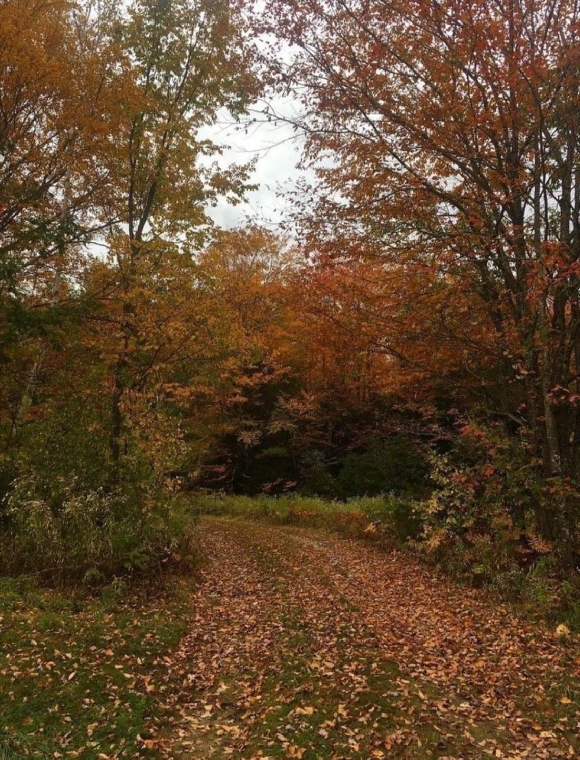 fall