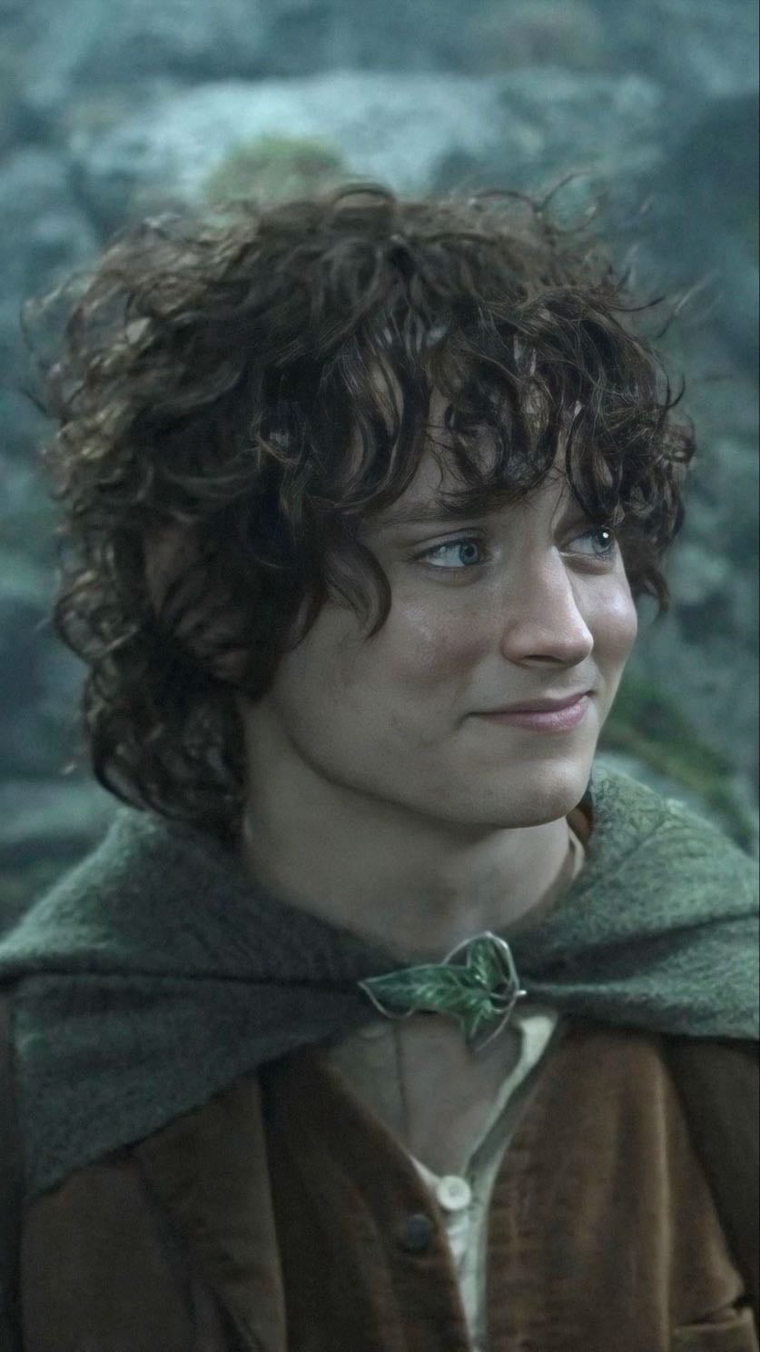 frodo baggins - lord of the rings, 2001