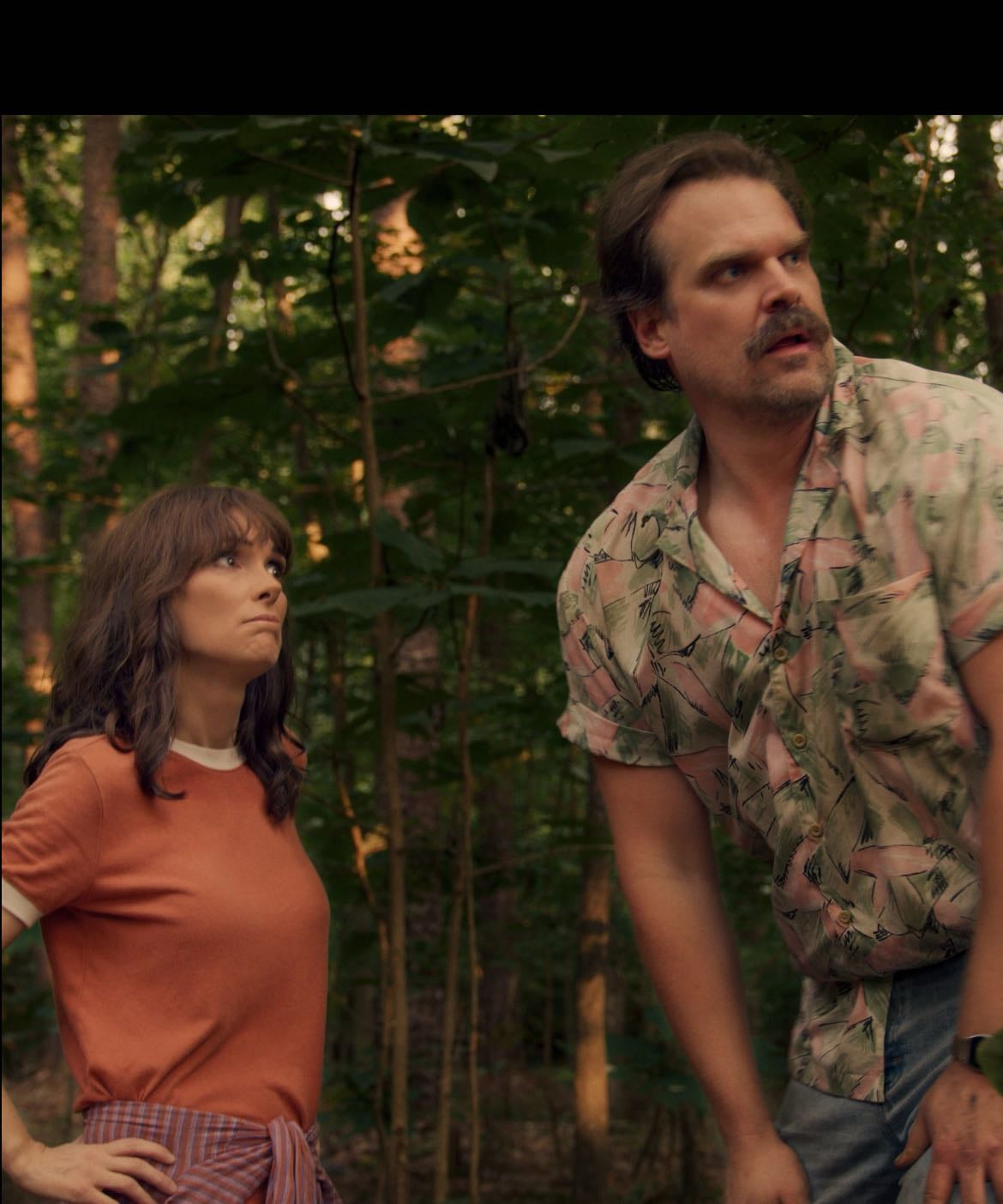 Joyce Byers & Jim Hopper - Stranger things