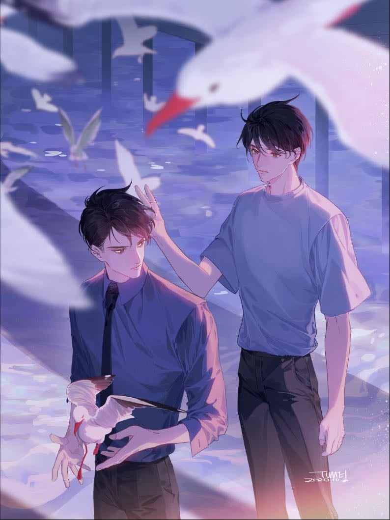 Flying Gulls Never Land - by Hui Nan Que
