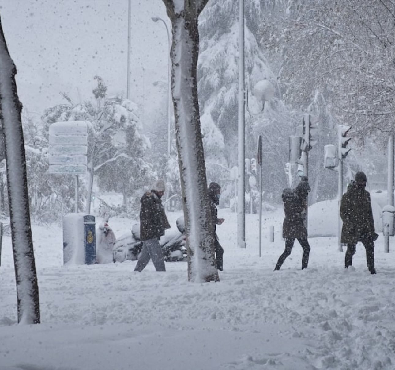 Winter movies - Movies hypelist by STAR