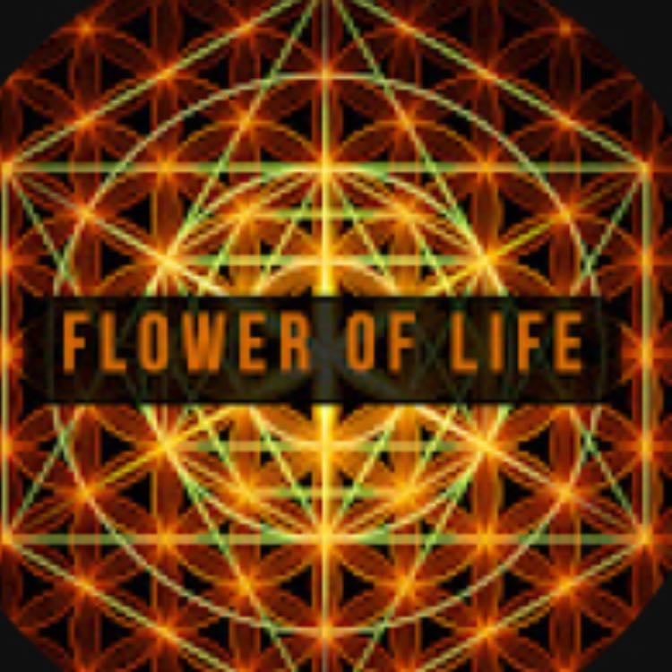 Flower of life - Dr Joe dispenser for meditations