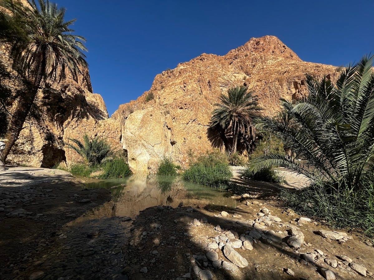 Chebika Oasis