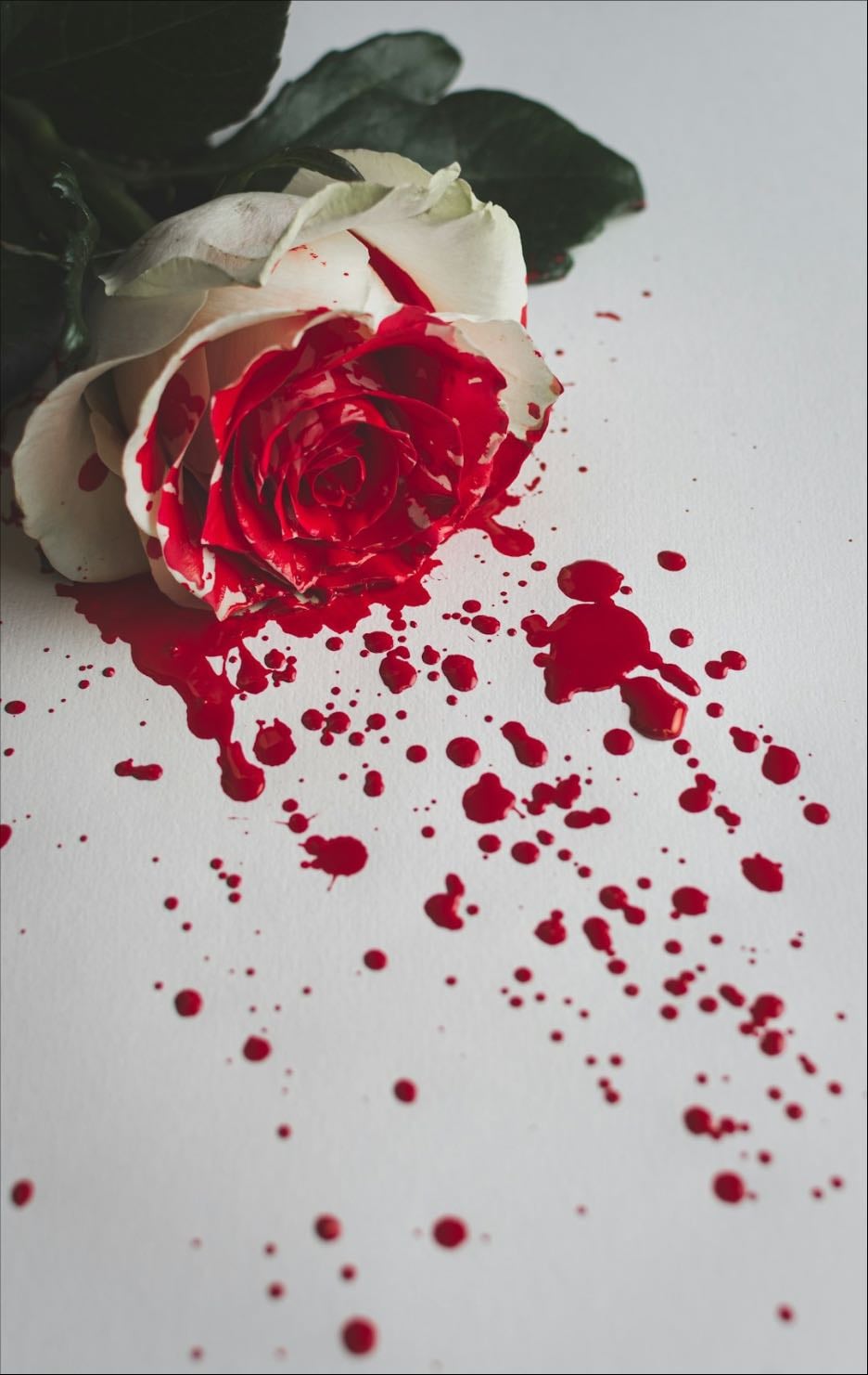 Period sex