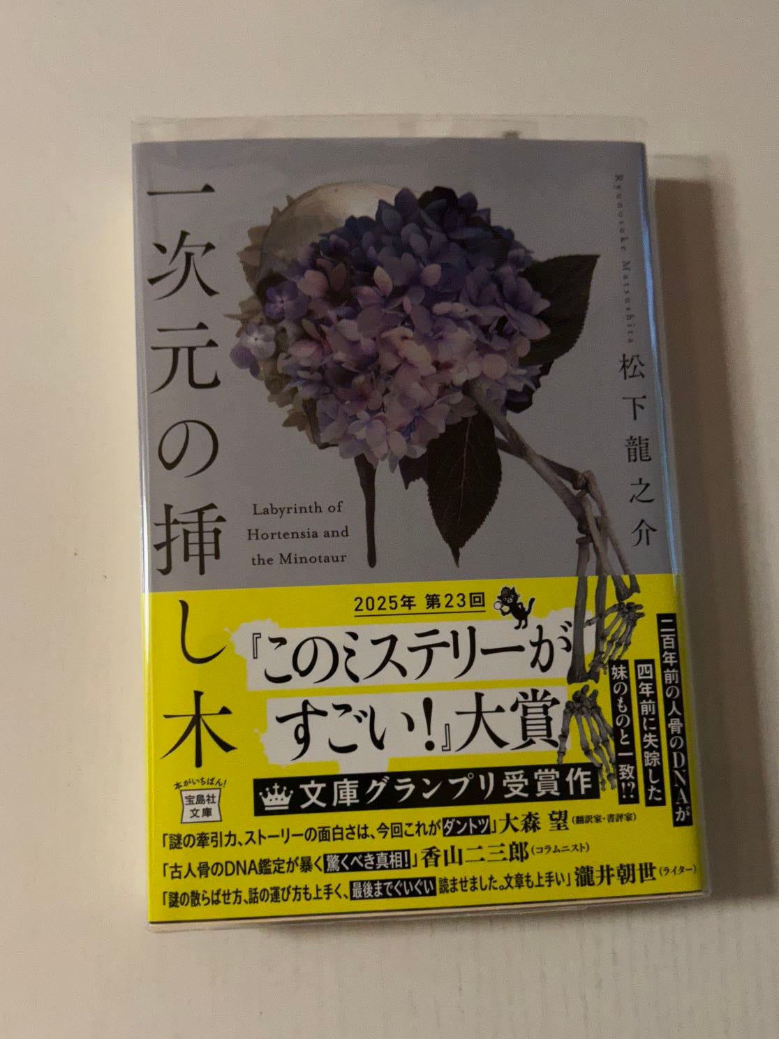 一次元の挿し木 - 松下龍之介 · 2025