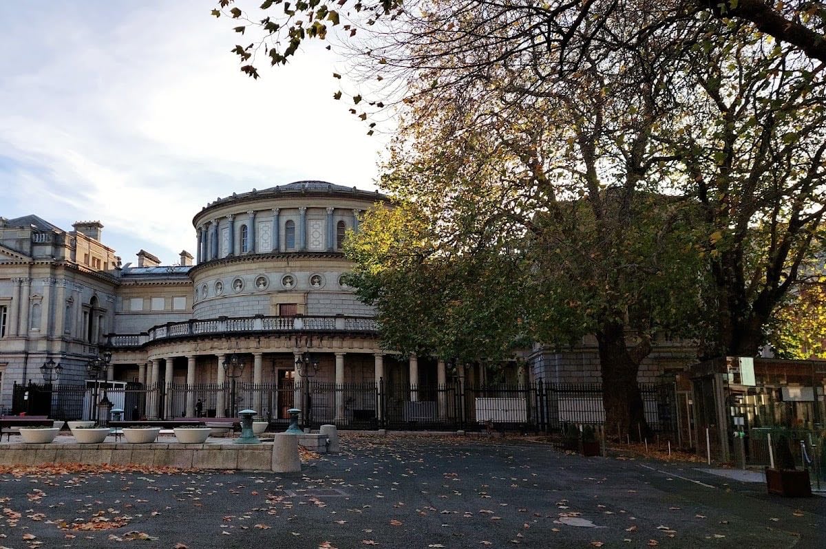 National Museum of Ireland, Kildare Street