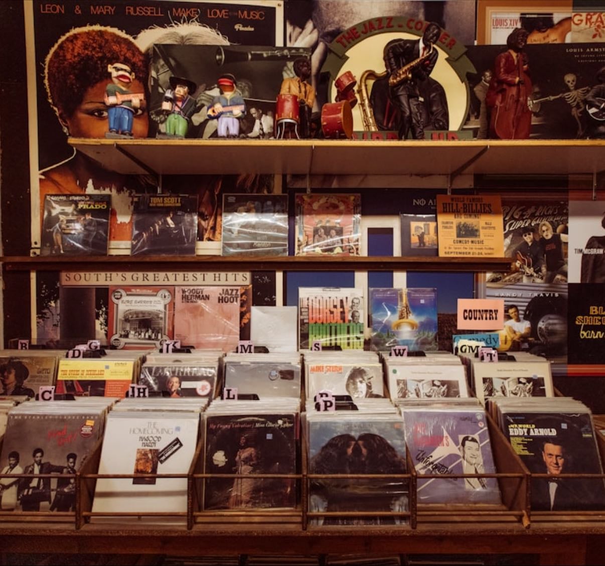 CDs, Records, and Vinyls Collection & Wish List