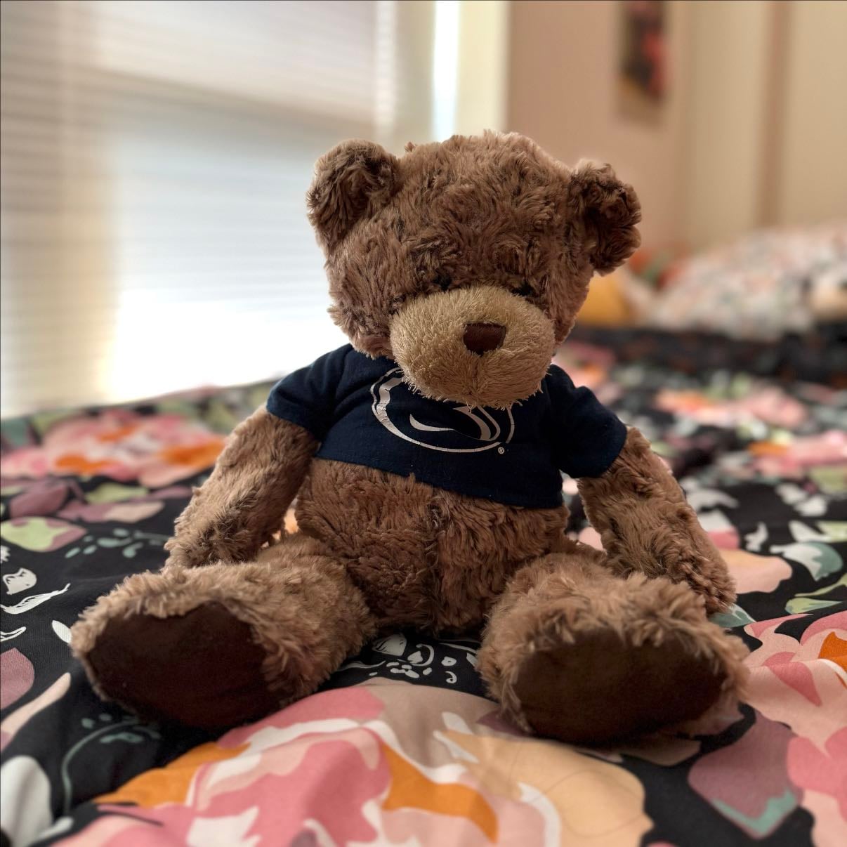 Mr. Beary - Penn State Teddy Bear Plush Toy