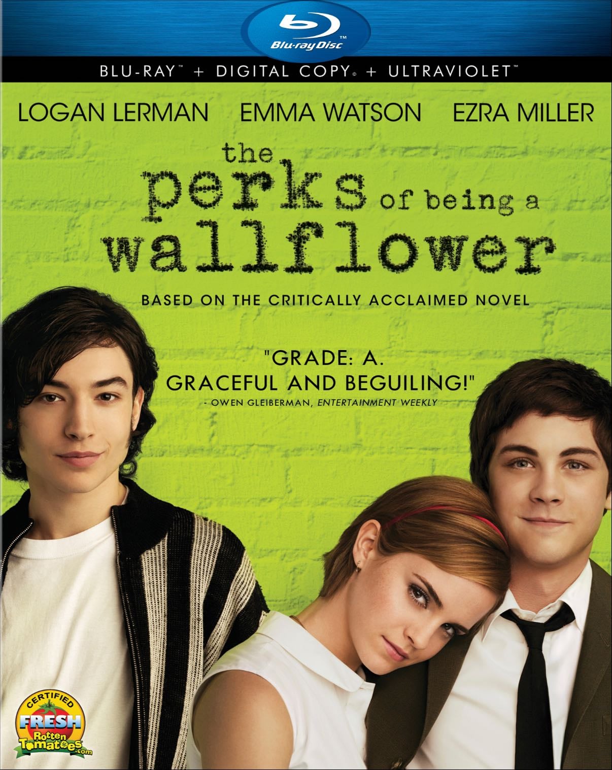 The Perks of Being a Wallflower - Blu-Ray