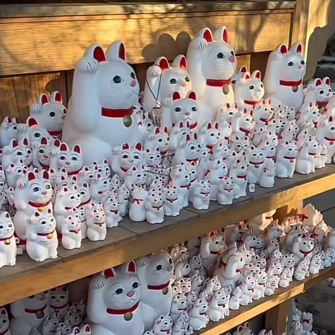 Gotokuji temple
