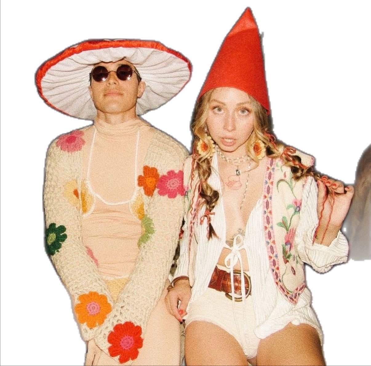 Gnome & mushroom