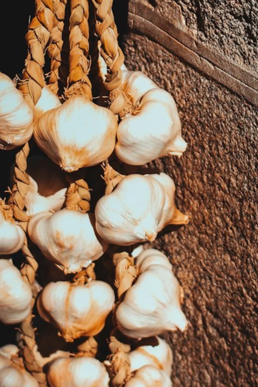 garlic