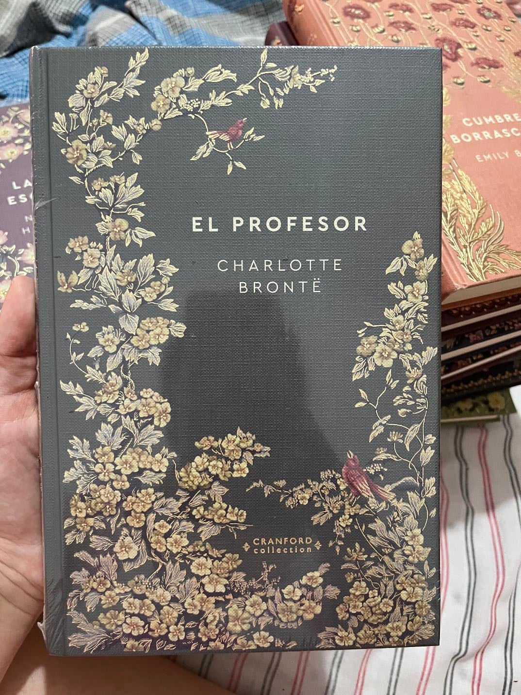 El Profesor- Charlotte Brontë - #14