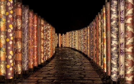 Kimono Forest