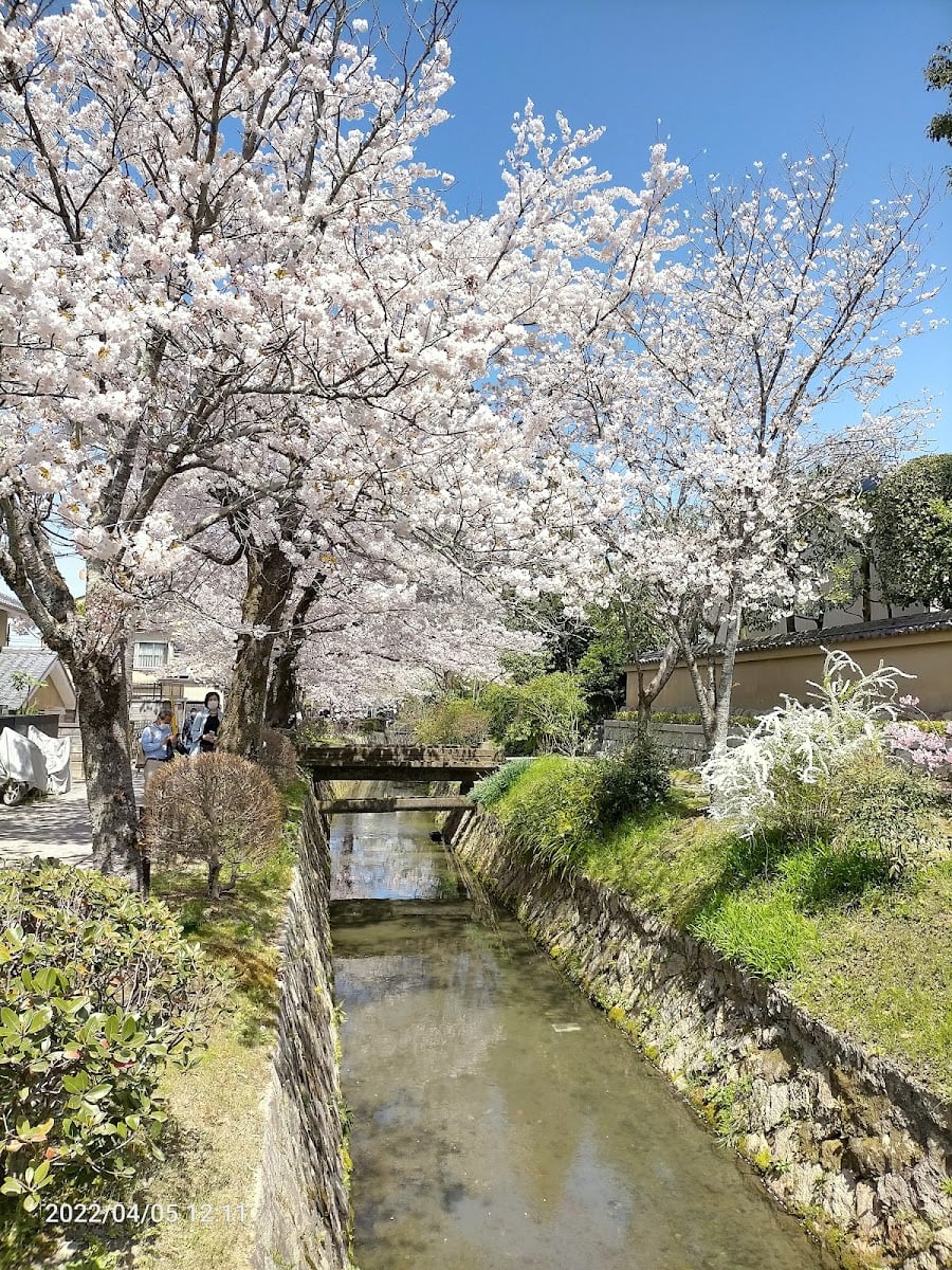 Tetsugaku No Michi