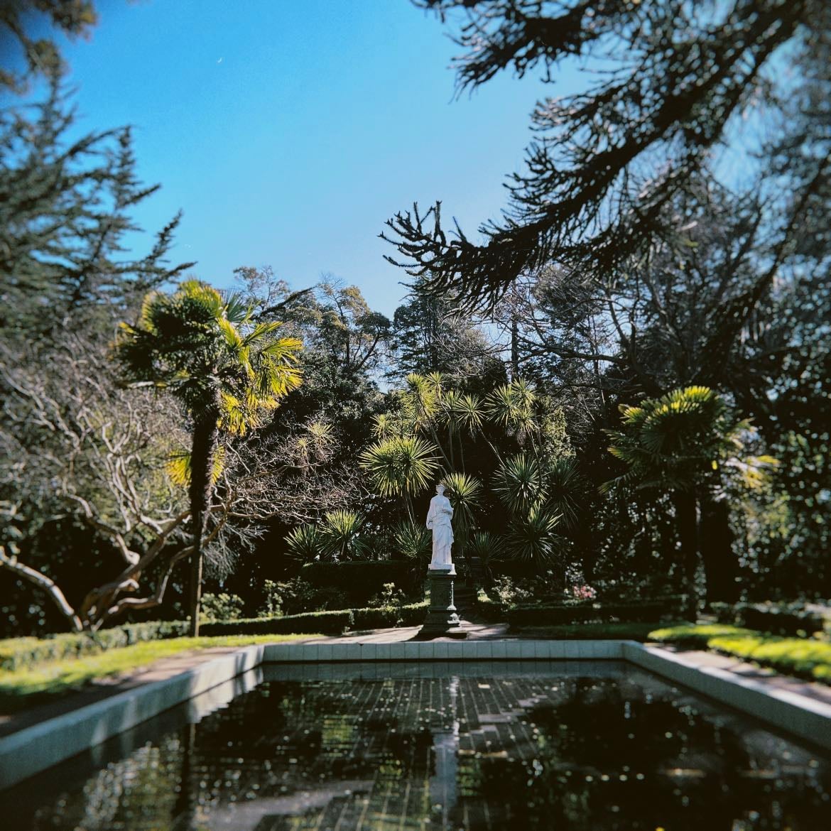 parque isidora cousiño - 📍lota