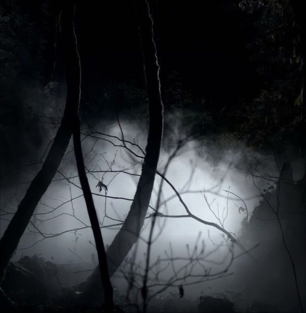 the originals - Julie Plec · 2013