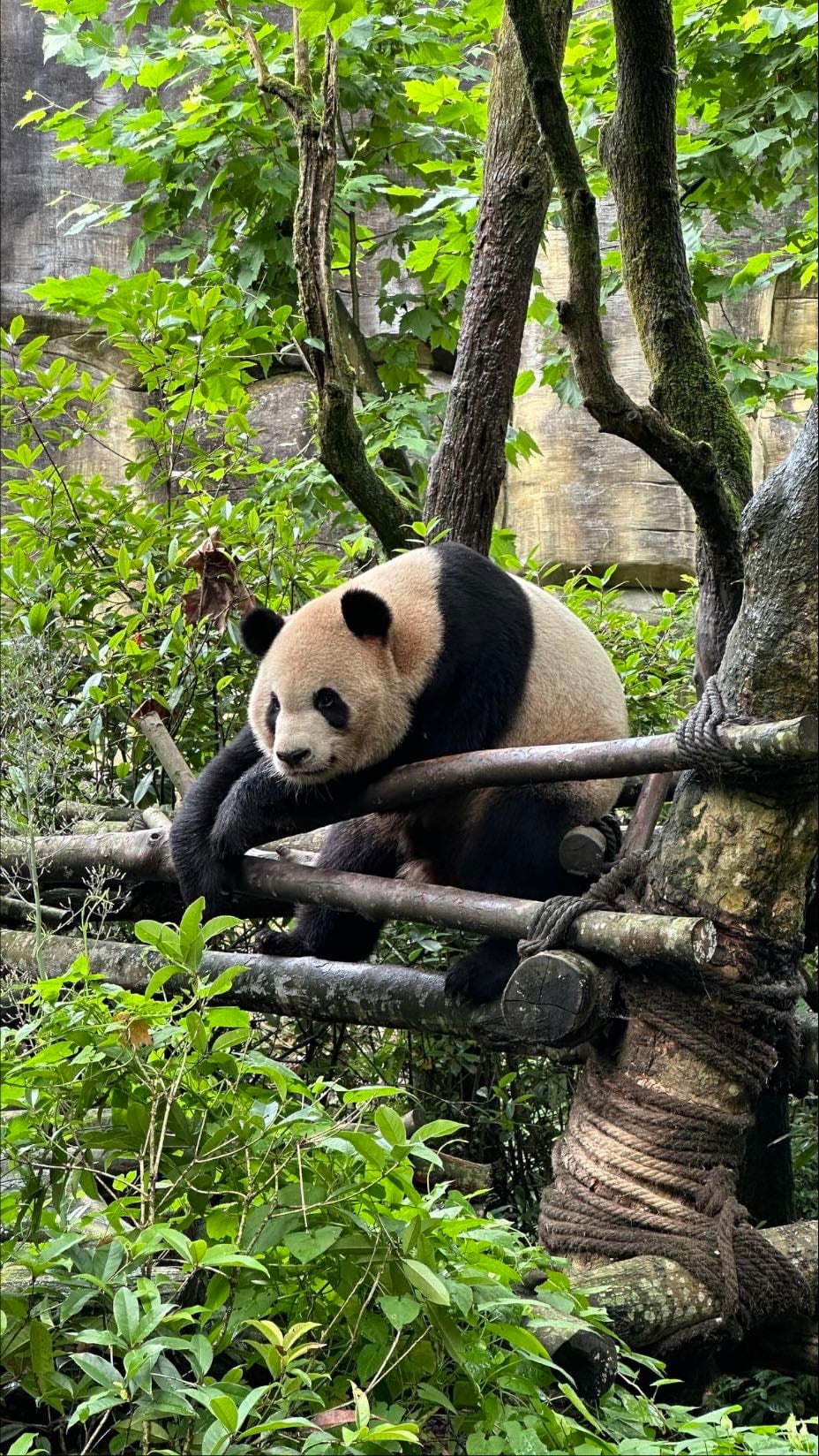 Chengdu, China