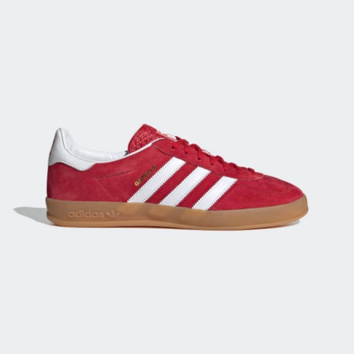 gazelle indoor rojos