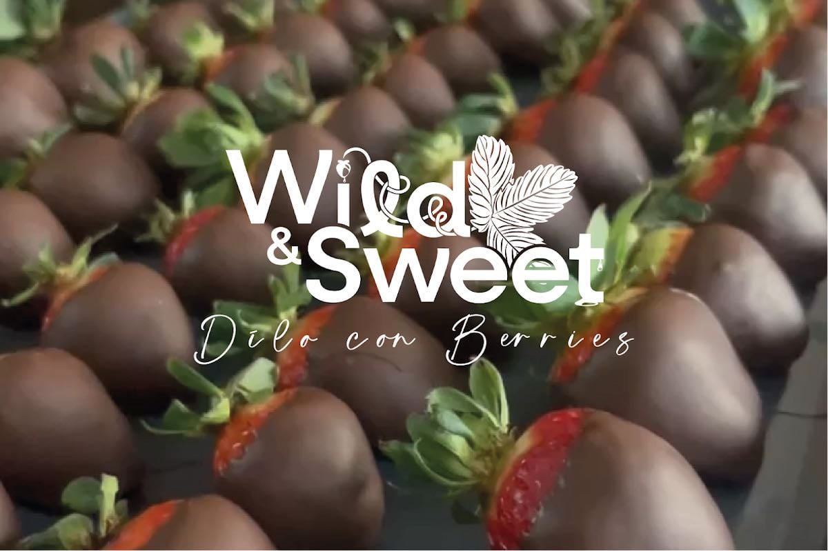Wild & Sweet