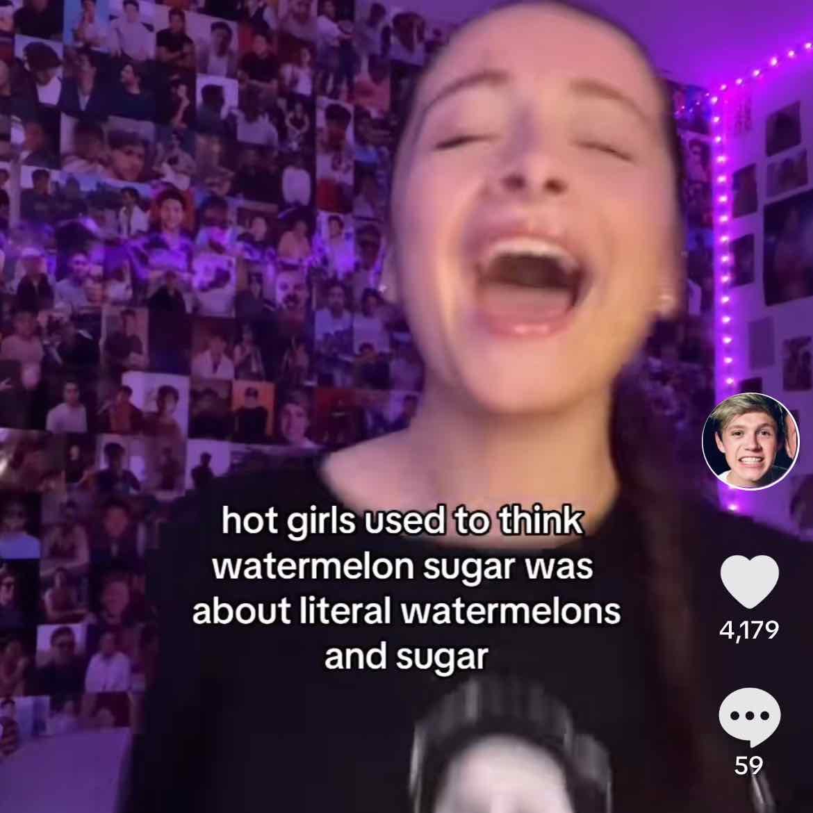 “Hot girls used to think that watermelon sugar was about literal watermelons and sugar”