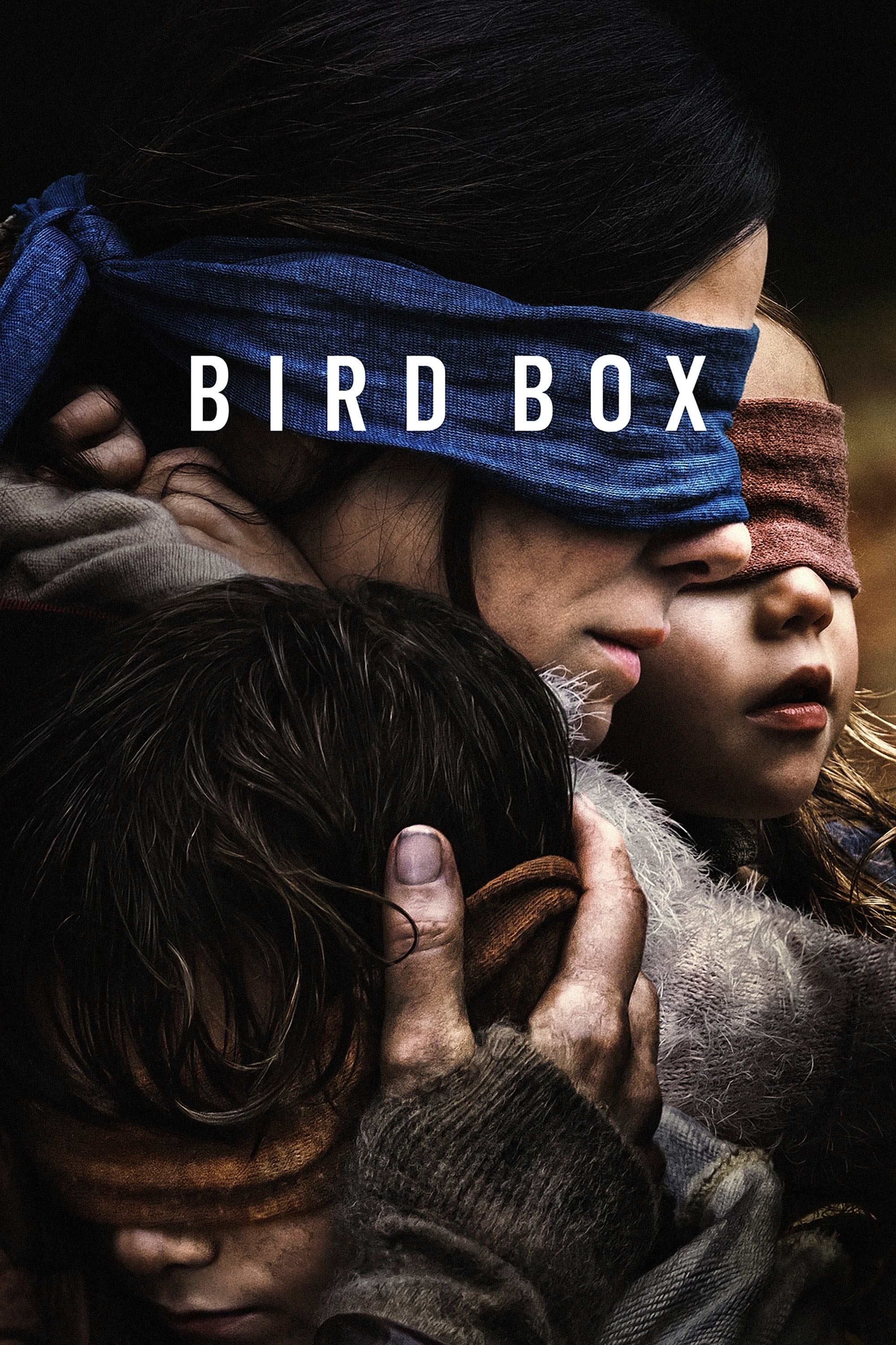 Bird Box - Susanne Bier · 2018