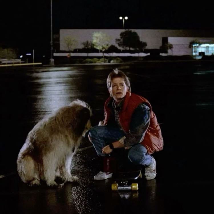 back to the future