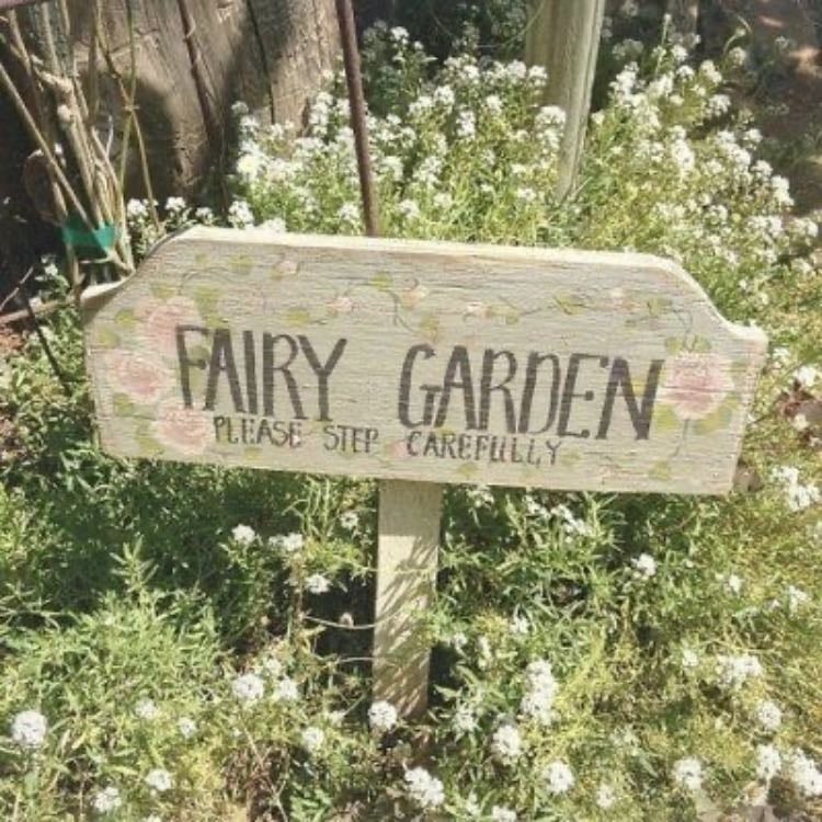 un cartel aca bien whimsy