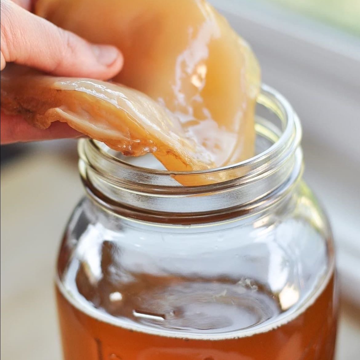 Kombucha